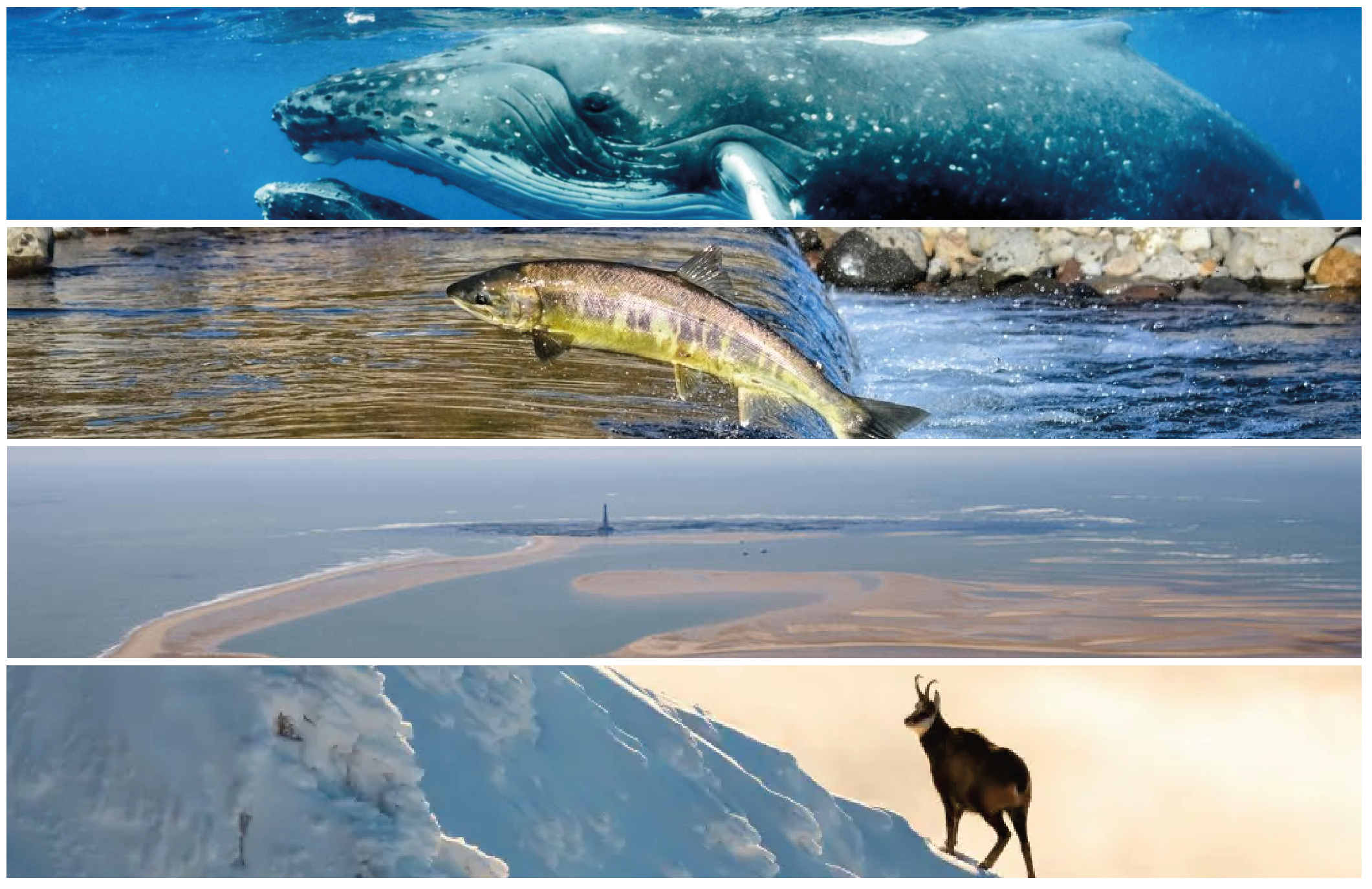 Site en reconstruction !